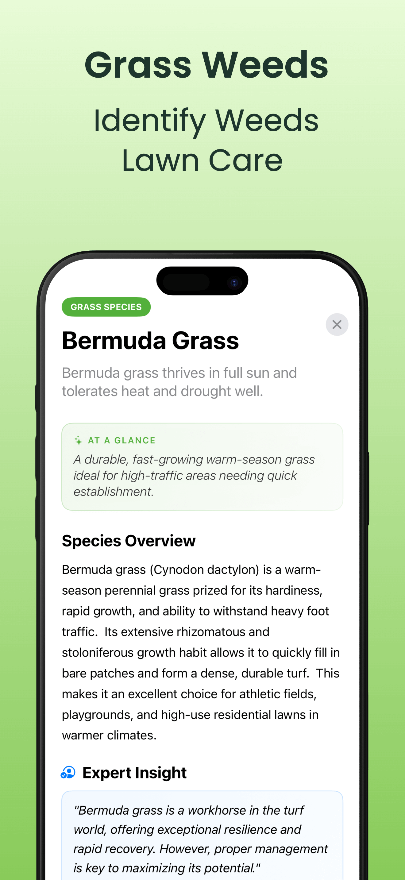 Disease diagnosis feature